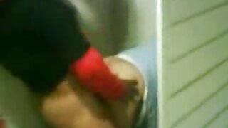 ಕೇಟ್ ಹ್ಯಾರಿಂಗ್ಟನ್ ಮತ ...