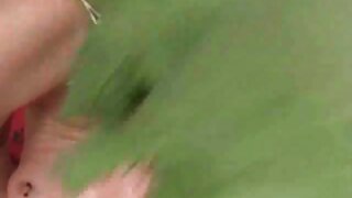 ಶೂನ್ಯ ಗಾತ್ರದ ಚೇಕಡಿ ಹ ...
